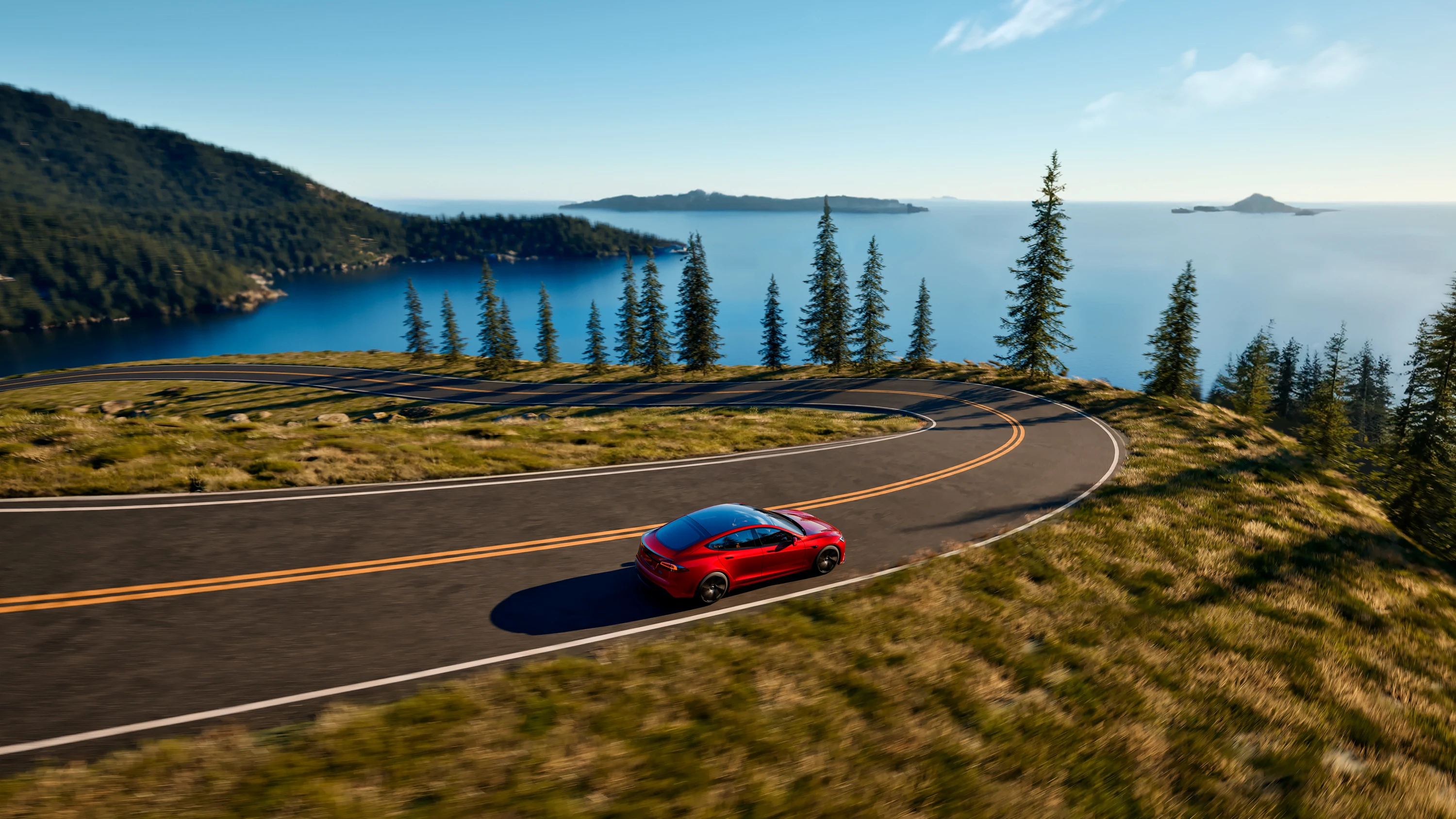 Tesla Model S Plaid dynamic view