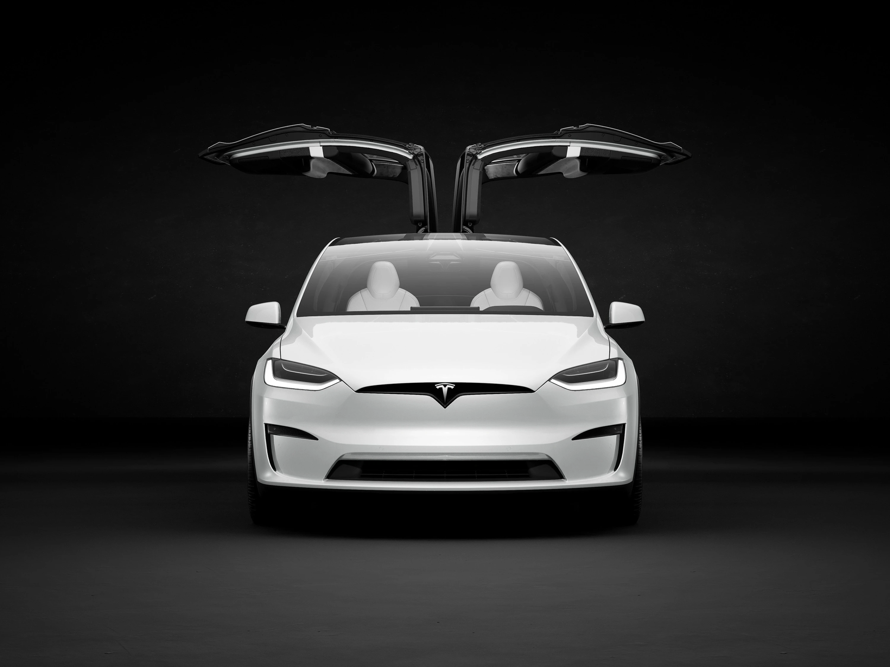 Tesla Model X Plaid exterior view