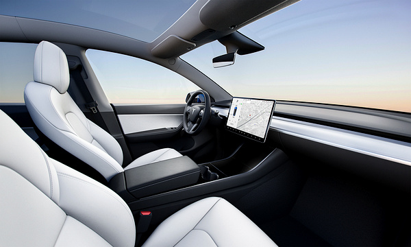 Tesla Model Y Long Range (GEN1) screens view