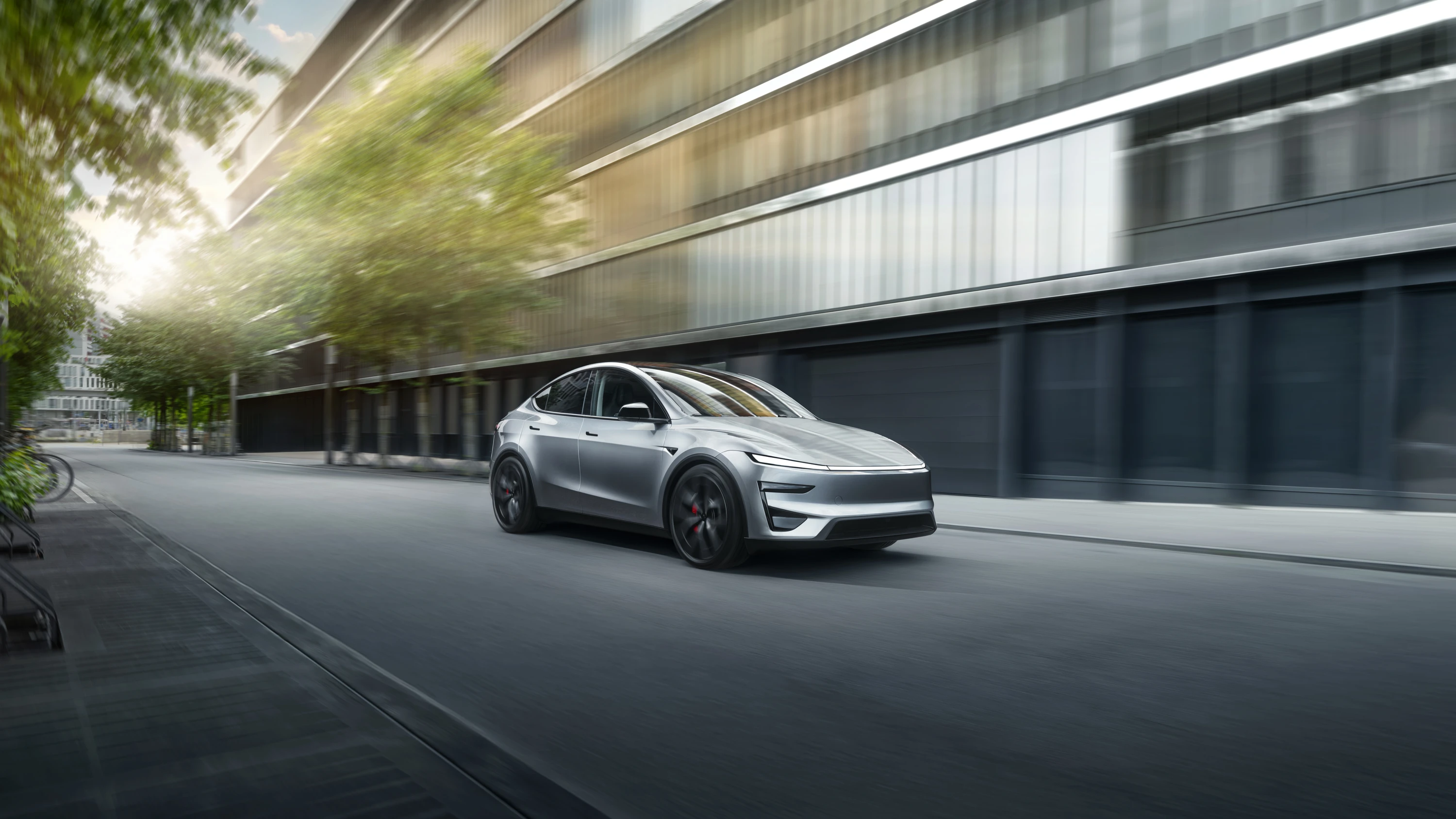 Tesla Model Y Performance dynamic view