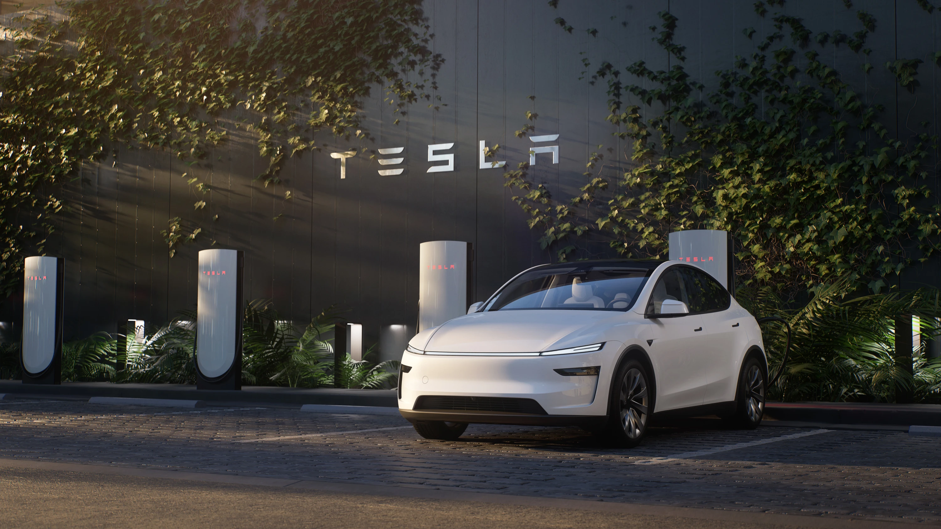 Tesla Model Y RWD main view