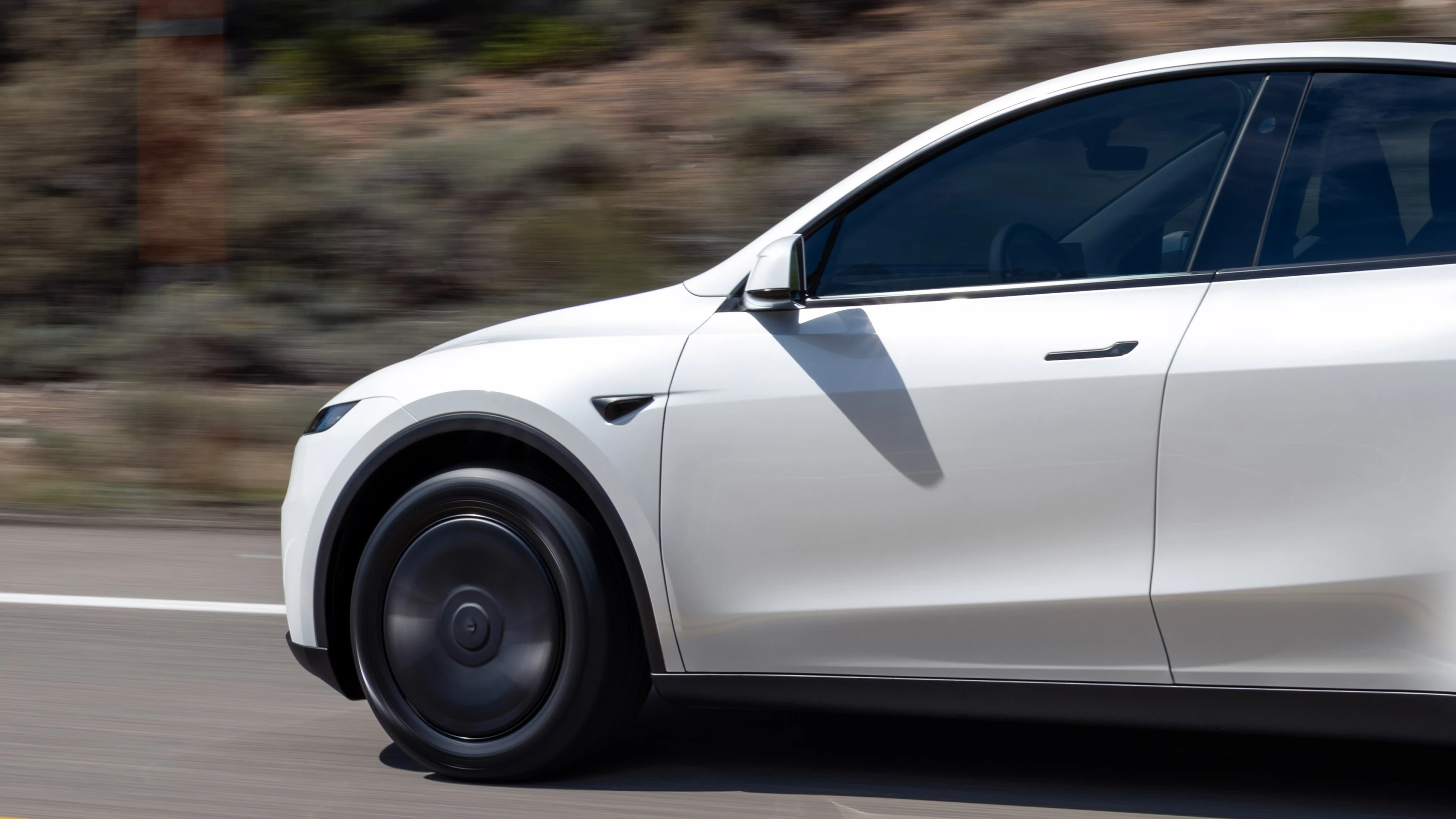 Tesla Model Y Standard details view