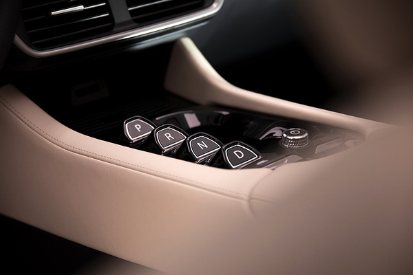 VinFast VF8 Eco details view